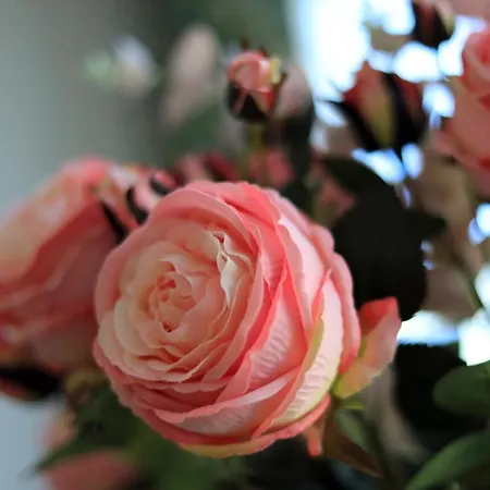 Wave3 - Monte Cassino By Oneapartments * Сопот