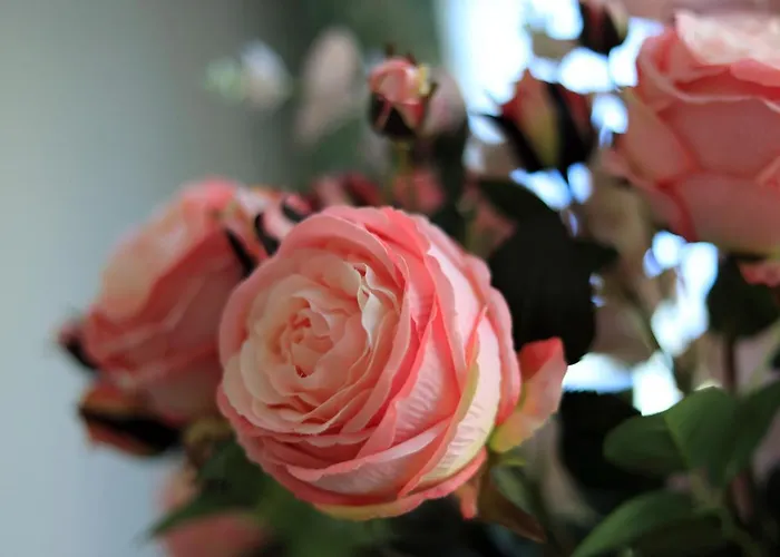 Wave3 - Monte Cassino By Oneapartments * Sopot